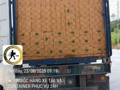 Bốc xếp giá rẻ Bình Dương – Phục Vụ Toàn Tỉnh, Có Mặt Sau 30 Phút