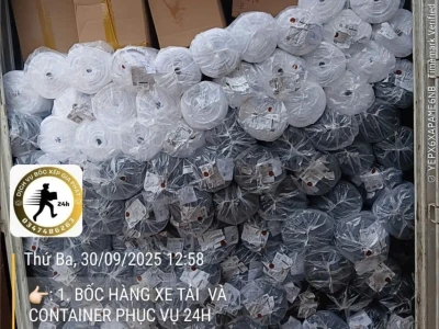 Bốc xếp hàng hóa Biên Hòa – Dịch vụ chuyên nghiệp, an toàn, giá rẻ | Đội Gia Phát
