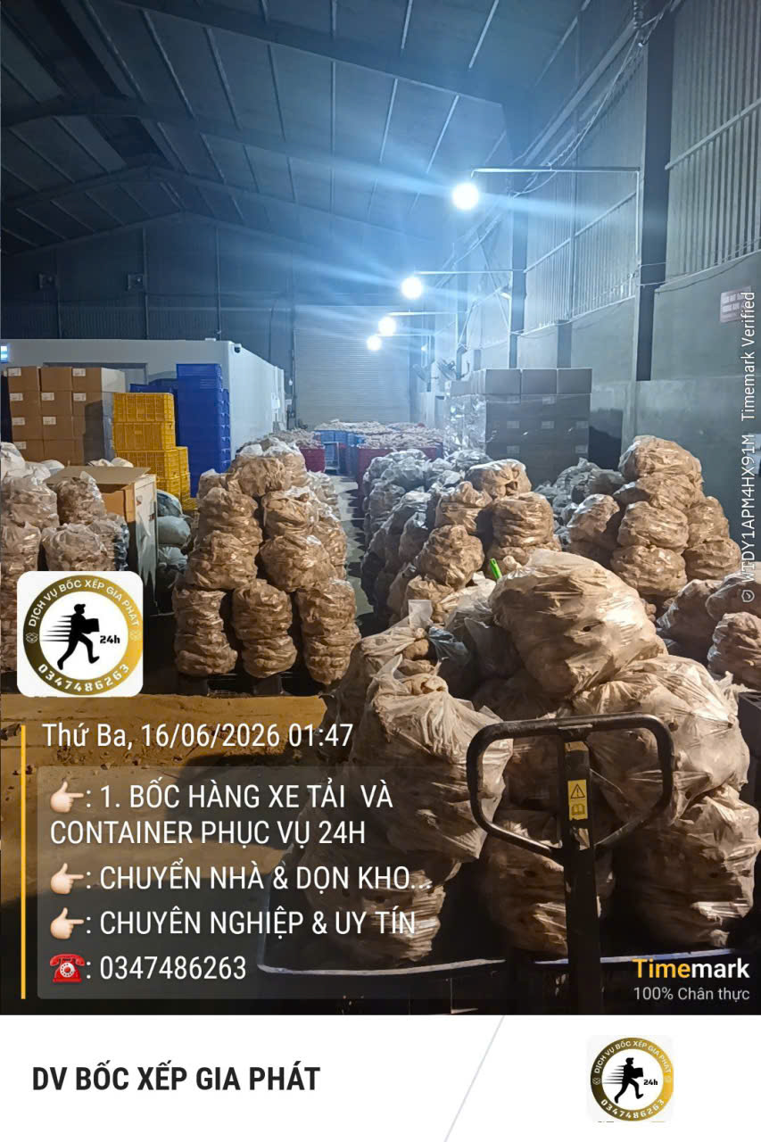 Dịch vụ Bốc xếp Đồng Nai uy tín, nhanh chóng, giá tốt