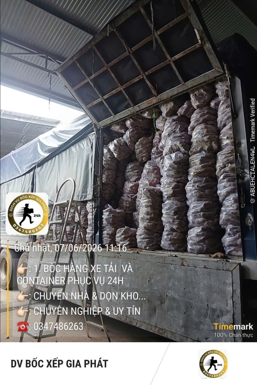 Dịch vụ Bốc xếp Đồng Nai uy tín, nhanh chóng, giá tốt