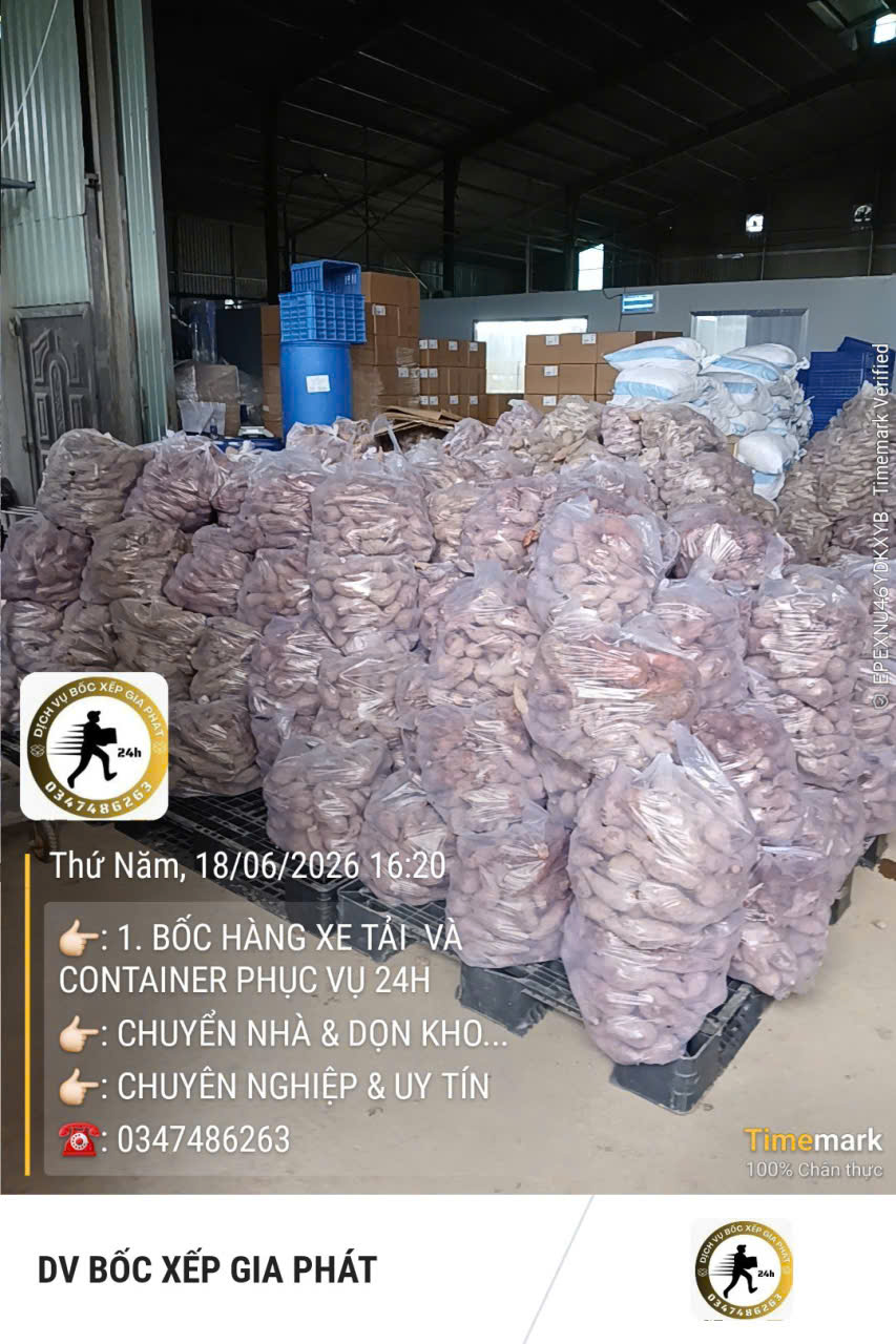 Dịch vụ Bốc xếp Đồng Nai chuyên nghiệp, an toàn
