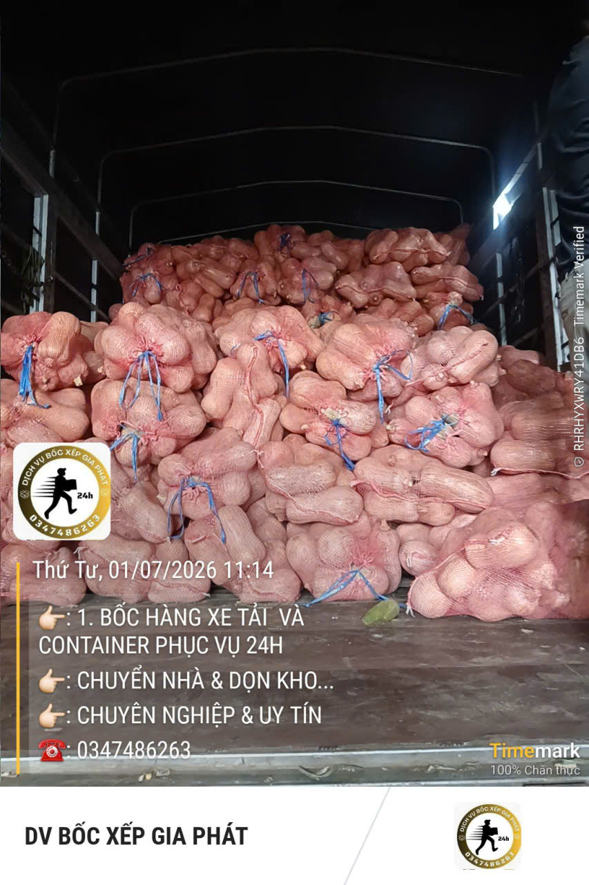 Bốc xếp hàng hóa TPHCM nhanh chóng, giá tốt