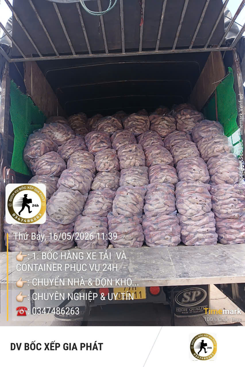 Dịch vụ bốc xếp số lượng lớn chuyên nghiệp tại TPHCM