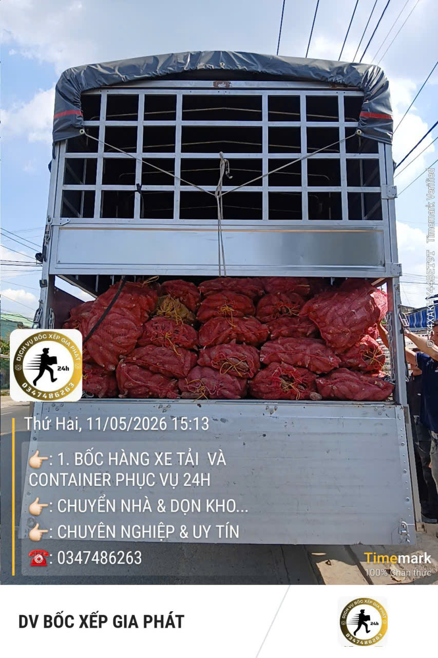 Dịch vụ bốc xếp số lượng lớn chuyên nghiệp tại TPHCM