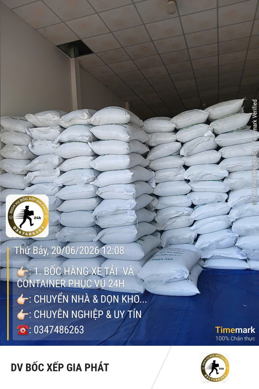 Dịch vụ bốc xếp số lượng lớn uy tín, giá tốt