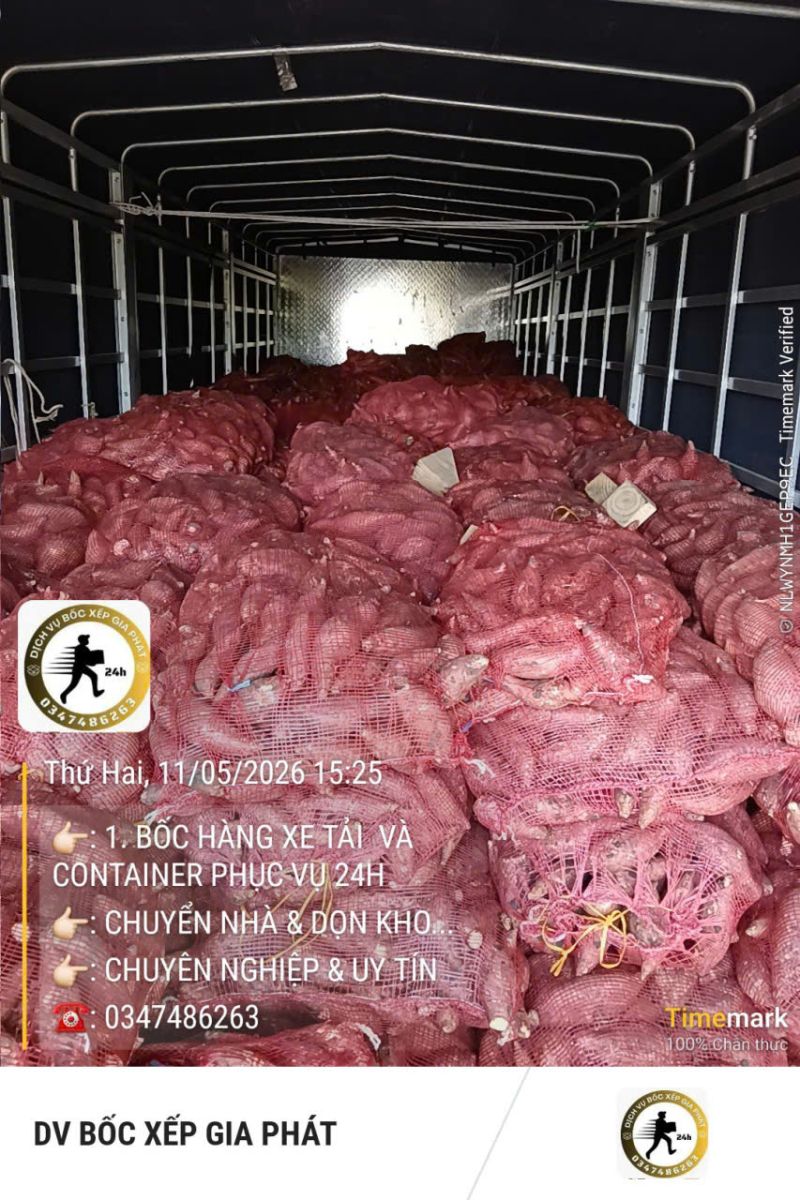 bốc xếp hàng xe tải và container