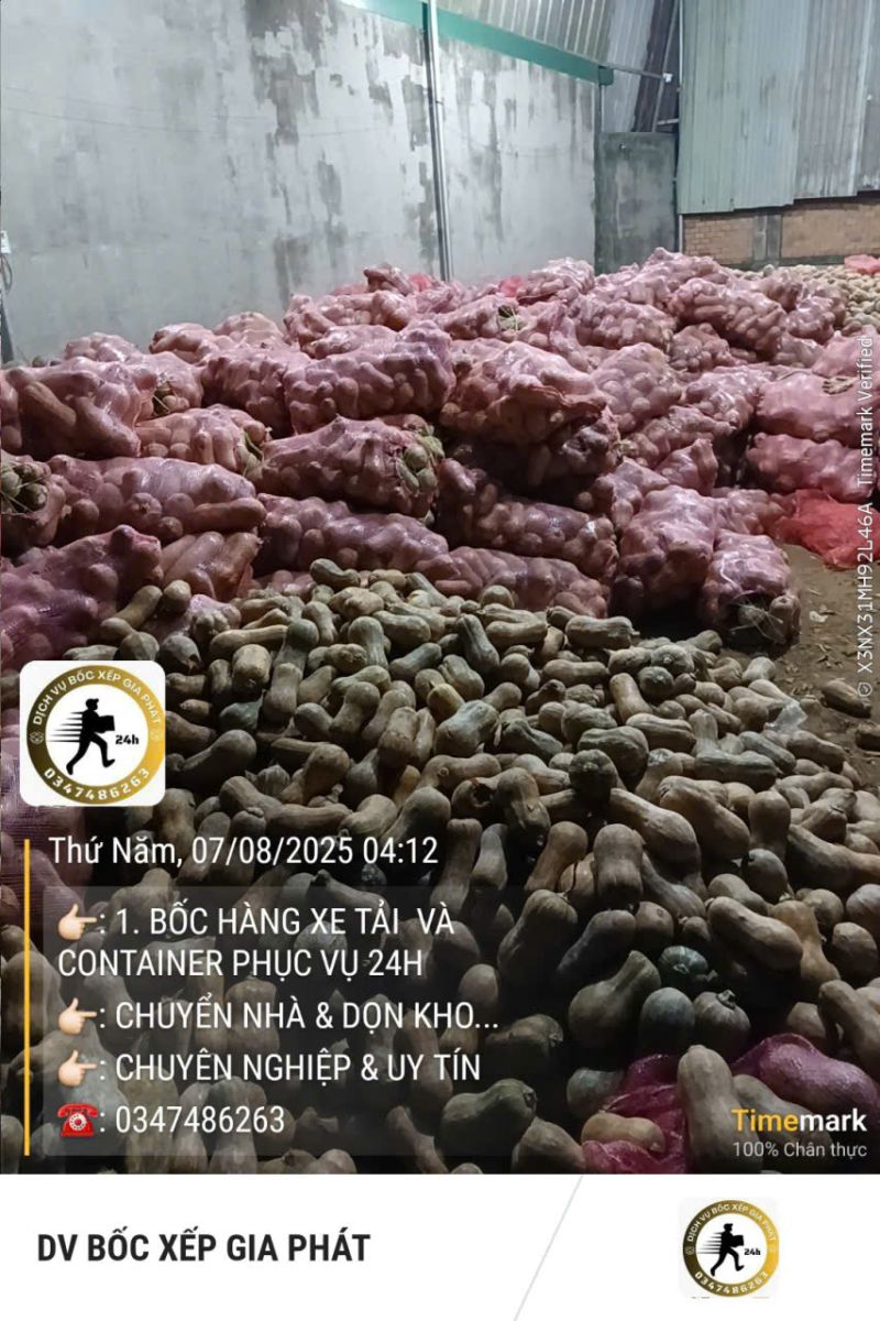 bốc xếp giá rẻ Bình Dương
