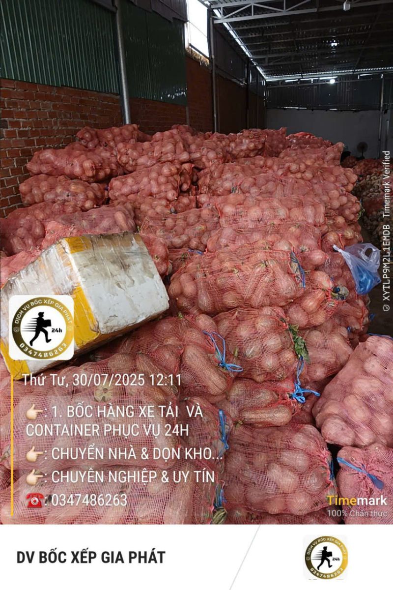 bốc xếp giá rẻ Bình Dương