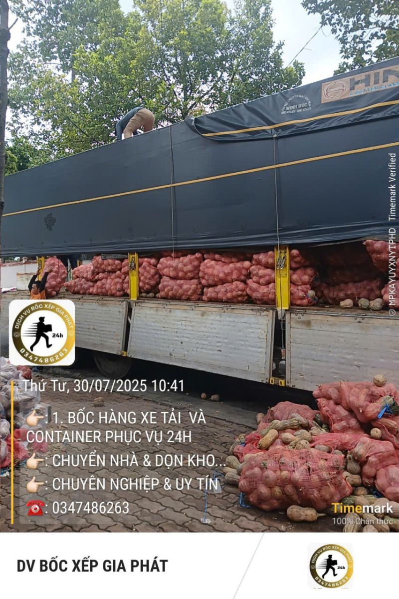 ĐỘI BỐC XẾP HÀNG NHANH CHÓNG TẠI TP HCM