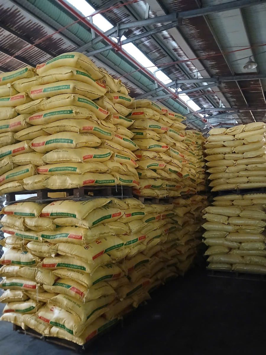 Bốc xếp hàng hóa tại kho bãi, nhà xưởng